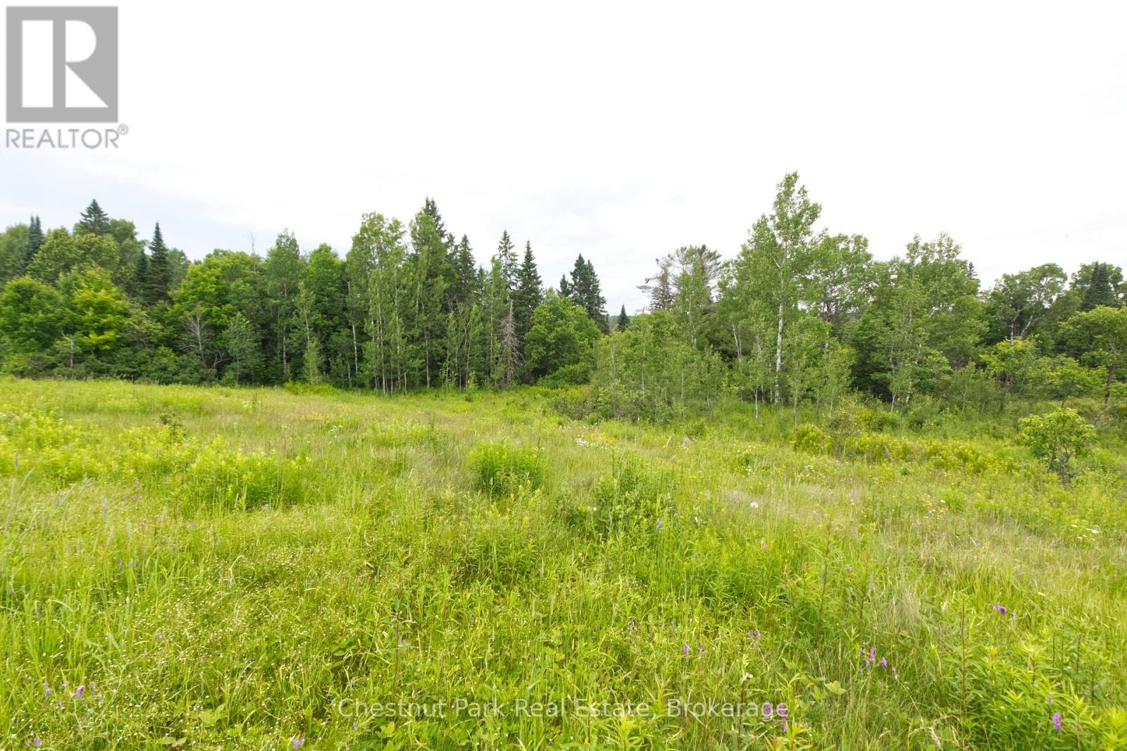 LOT 78 141 HIGHWAY, Seguin — photo 2