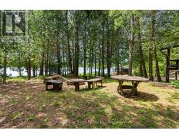27 Hope Drive, Northern Bruce Peninsula, ON N0H1Z0 Photo 42