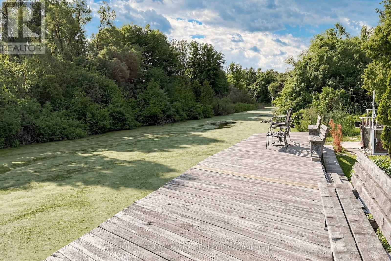 61 IRVING DRIVE - 45
