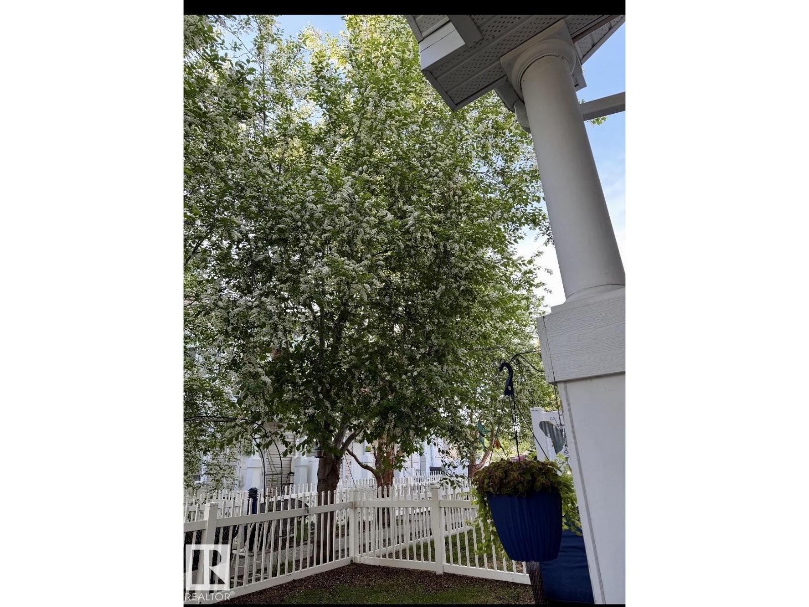 #184 1804 70 ST SW - 32