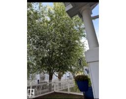 #184 1804 70 St Sw, Edmonton, AB T6X0H4 Photo 32