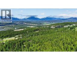 Den - 8566 Eacrett Road, Dry Gulch, BC V0A1K2 Photo 8