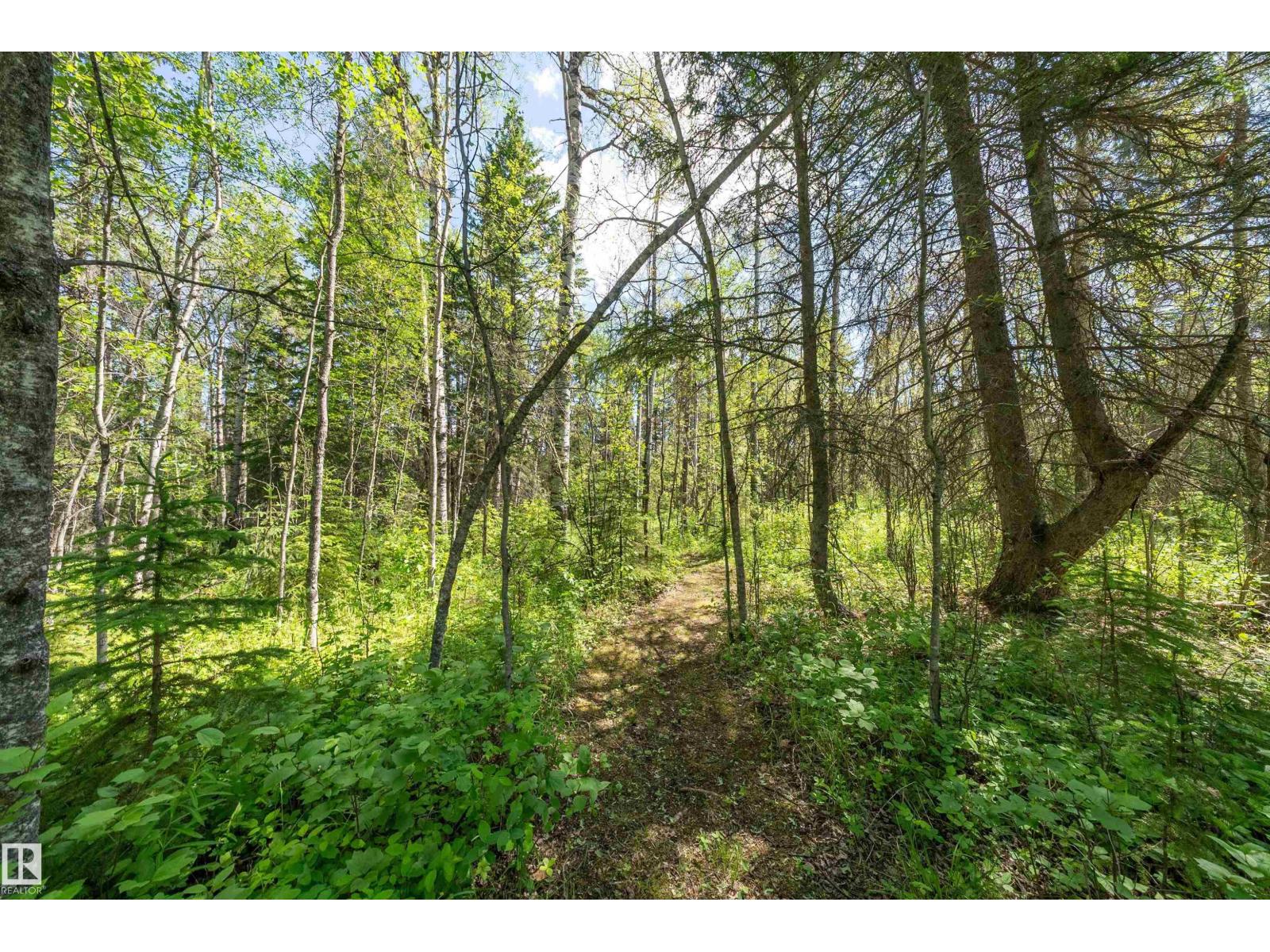 #117 453041 HWY 771 — photo 43