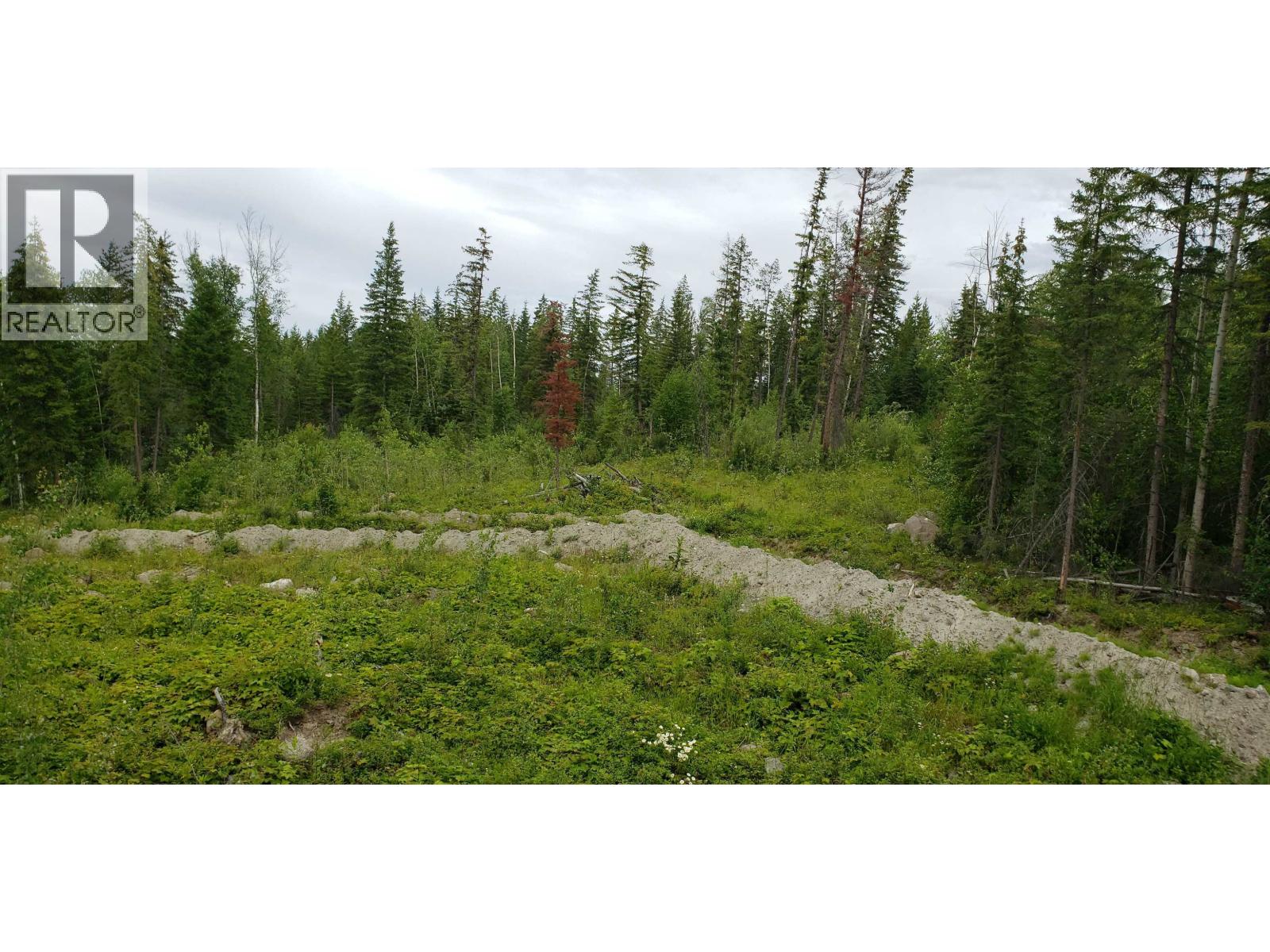 3724 BOWERS LAKE ROAD - 40