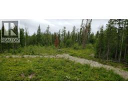 3724 Bowers Lake Road, Canim Lake, BC V0K1X3 Photo 40