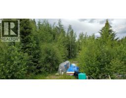 3724 Bowers Lake Road, Canim Lake, BC V0K1X3 Photo 35