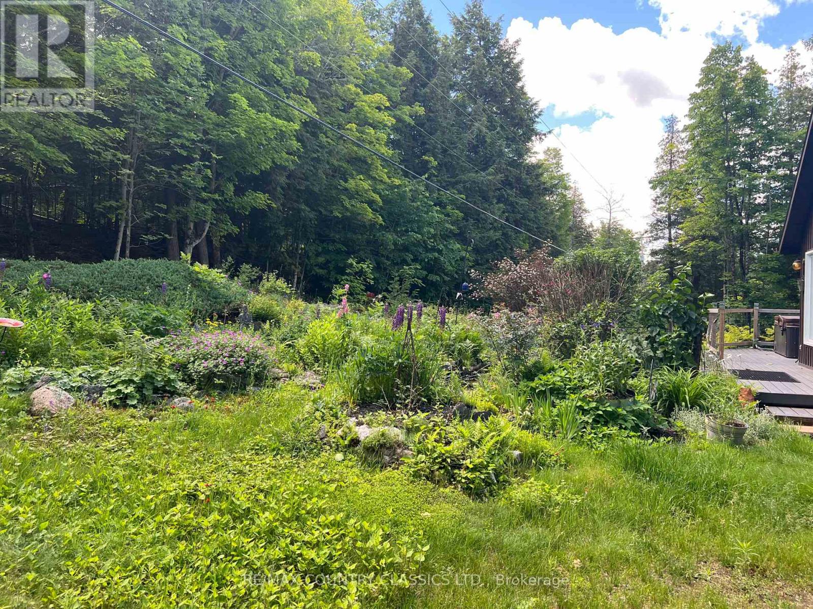 1322A WESLEMKOON LAKE ROAD - 42