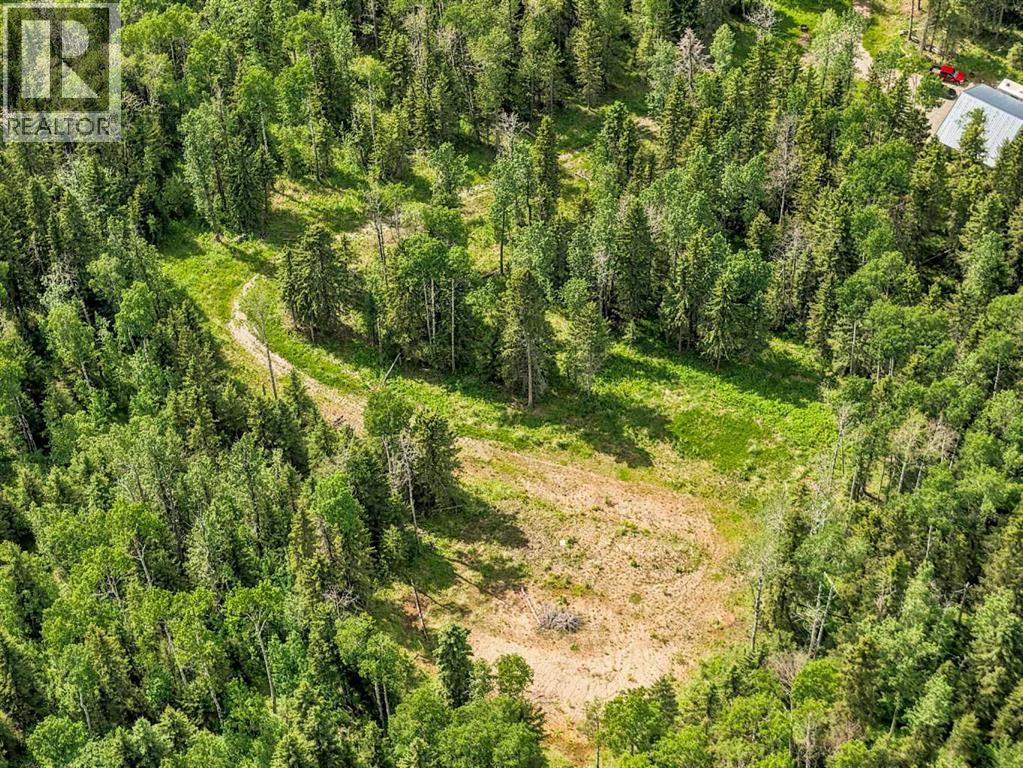 31435 Range Road 62 — photo 12