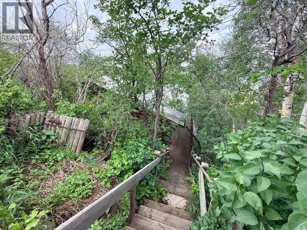 Steps to Cabin from Bayview