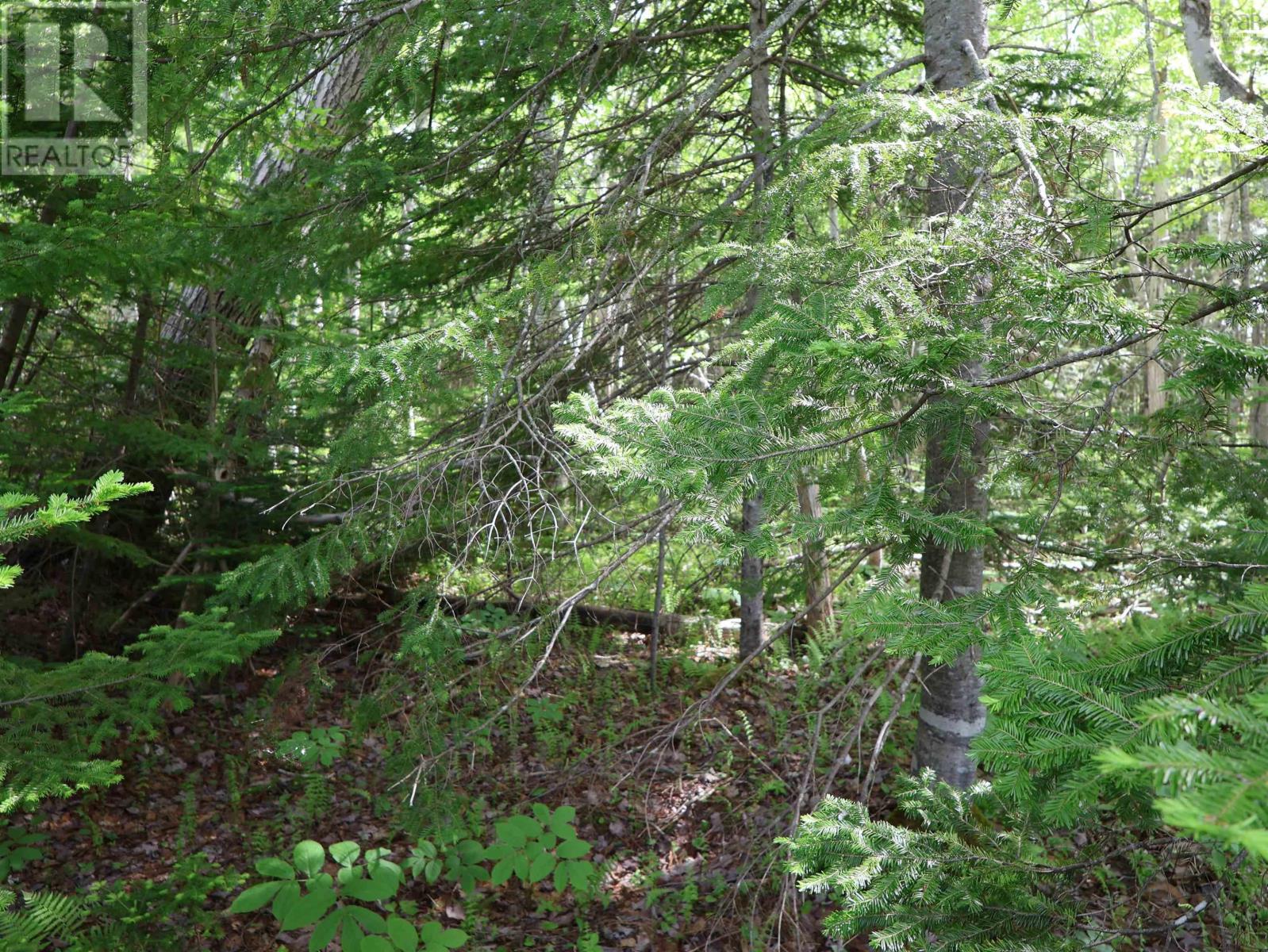 Property 23 of 30 of Lot 2, 3, 6 Leitches Creek Rd