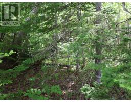 Lot 2, 3, 6 Leitches Creek Rd, Leitches Creek, NS B2A4A5 Photo 23