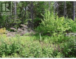 Lot 2, 3, 6 Leitches Creek Rd, Leitches Creek, NS B2A4A5 Photo 20