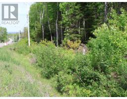 Lot 2, 3, 6 Leitches Creek Rd, Leitches Creek, NS B2A4A5 Photo 25