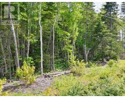 Lot 2, 3, 6 Leitches Creek Rd, Leitches Creek, NS B2A4A5 Photo 27