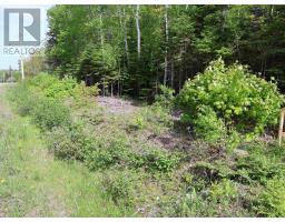 Lot 2, 3, 6 Leitches Creek Rd, Leitches Creek, NS B2A4A5 Photo 24