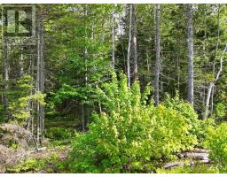 Lot 2, 3, 6 Leitches Creek Rd, Leitches Creek, NS B2A4A5 Photo 28