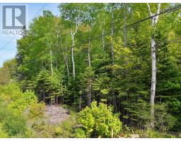 Lot 2, 3, 6 Leitches Creek Rd, Leitches Creek, NS B2A4A5 Photo 29