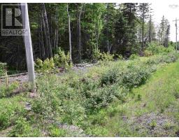 Lot 2, 3, 6 Leitches Creek Rd, Leitches Creek, NS B2A4A5 Photo 22