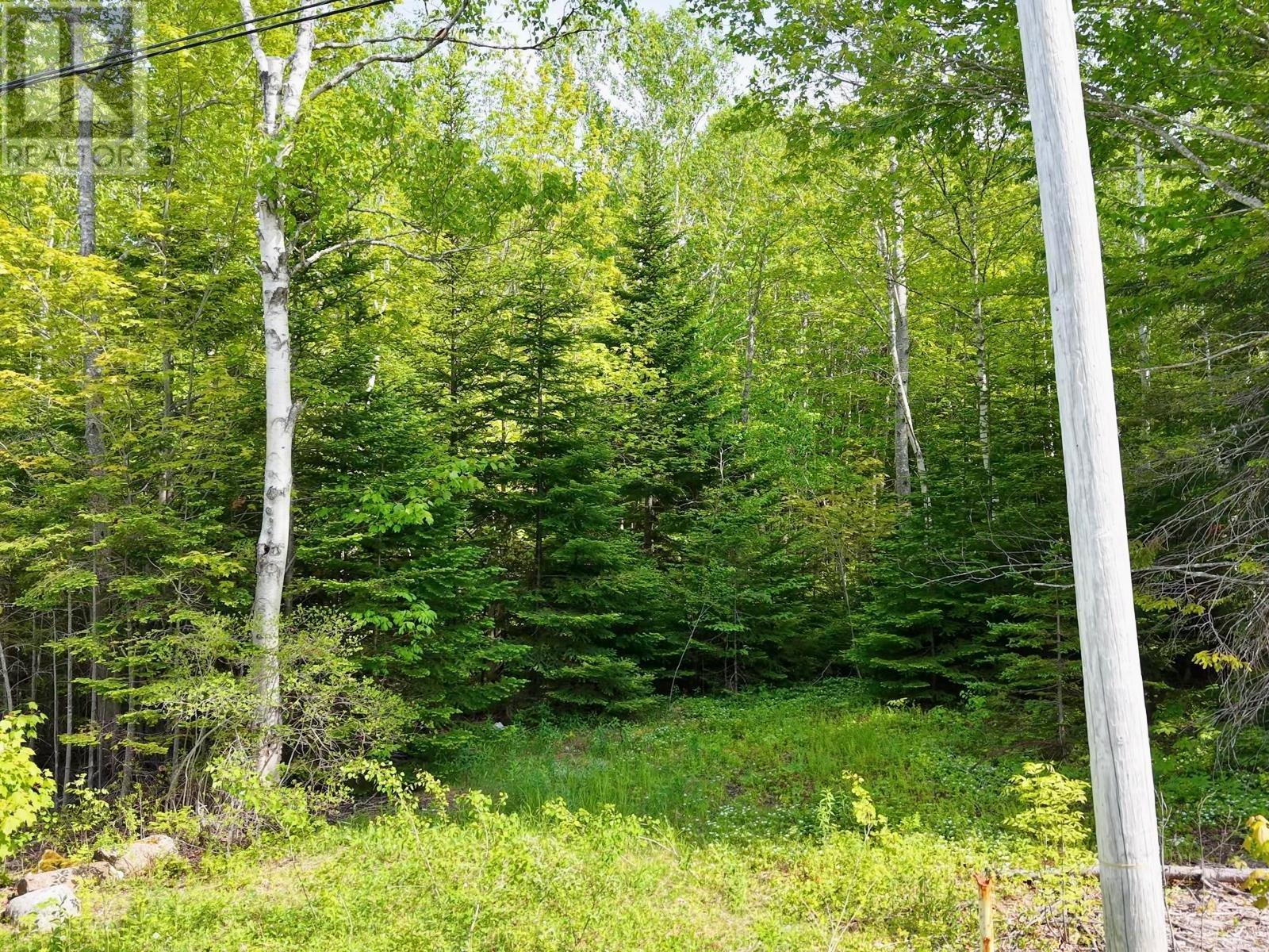 Property 3 of 30 of Lot 2, 3, 6 Leitches Creek Rd