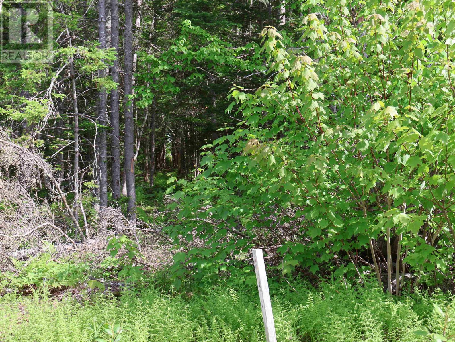 Property 4 of 30 of Lot 2, 3, 6 Leitches Creek Rd