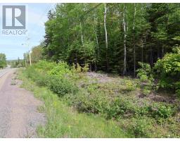 Lot 2, 3, 6 Leitches Creek Rd, Leitches Creek, NS B2A4A5 Photo 9