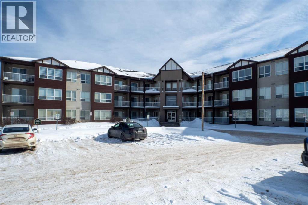 #201 290 Plamondon Drive - 21