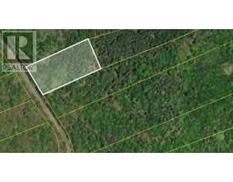 1 Tracadie Road, Mulgrave, NS B0E2G0 Photo 14