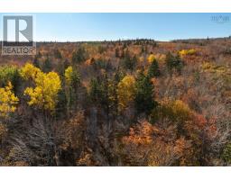 1 Tracadie Road, Mulgrave, NS B0E2G0 Photo 12