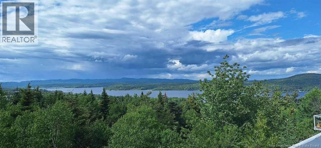 38 Edgemount Dr - 3