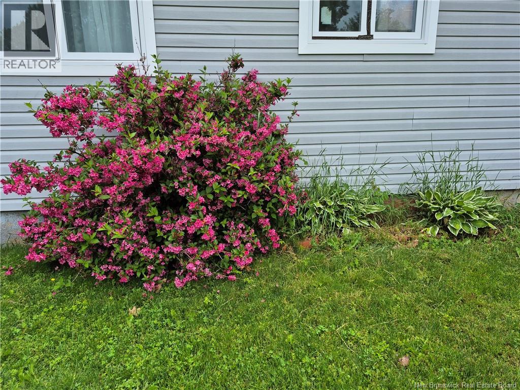 45 Clearview Avenue - 38