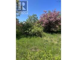 7017 Highway 1, Belleisle, NS B0S1A0 Photo 15