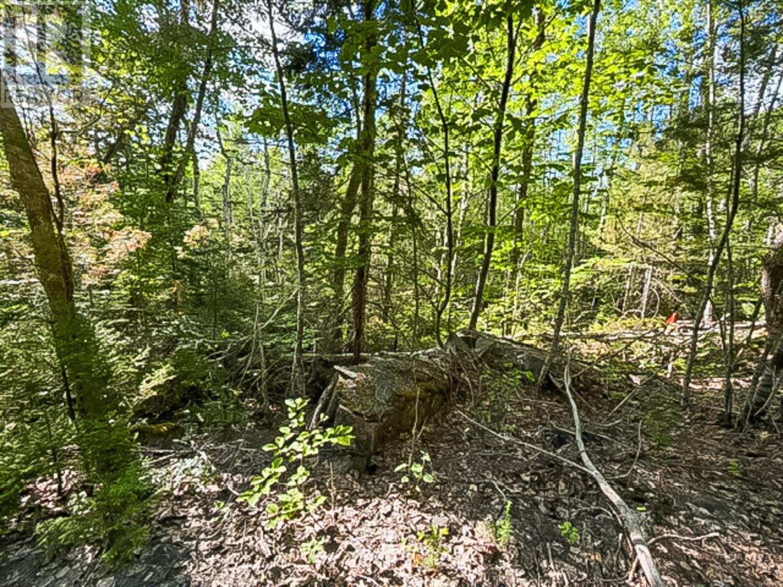 Property 5 of 9 of Lot PID#70126610 Ponhook Shore Road