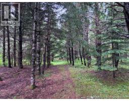 Lot Route 104, Cloverdale, NB E7P1X1 Photo 9