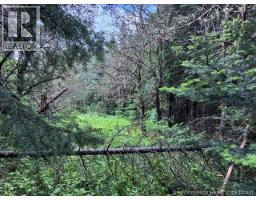 Lot Route 104, Cloverdale, NB E7P1X1 Photo 8