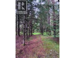 Lot Route 104, Cloverdale, NB E7P1X1 Photo 10