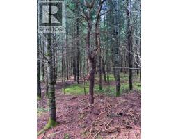 Lot Route 104, Cloverdale, NB E7P1X1 Photo 6