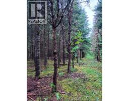 Lot Route 104, Cloverdale, NB E7P1X1 Photo 7