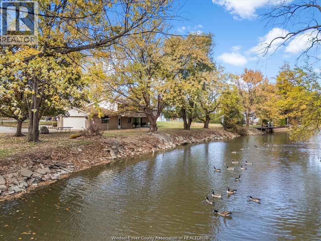 224 WEST PIKE CREEK - 41
