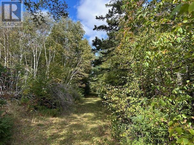 Property 12 of 15 of 45109 Cabot Trail