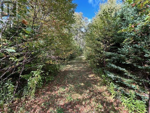 Property 4 of 15 of 45109 Cabot Trail