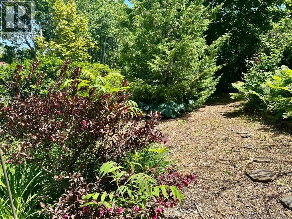 6 Cedar Acres Court - Image 43