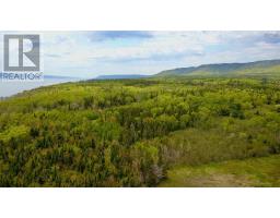 44435 Cabot Trail, Little River, NS B0C1H0 Photo 15