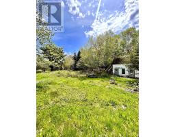 44435 Cabot Trail, Little River, NS B0C1H0 Photo 24