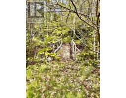 44435 Cabot Trail, Little River, NS B0C1H0 Photo 26