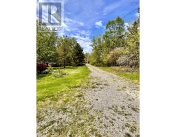 44435 Cabot Trail, Little River, NS B0C1H0 Photo 25