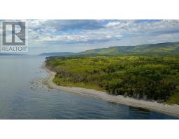 44435 Cabot Trail, Little River, NS B0C1H0 Photo 18