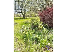 44435 Cabot Trail, Little River, NS B0C1H0 Photo 23