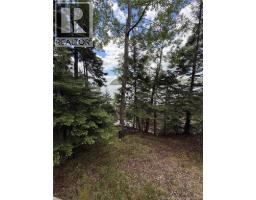 00 Champlain Drive, Dufferin, NB E3L3S1 Photo 9