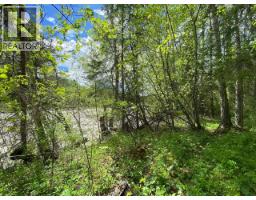 6048 Six Mile Road, Hazelton, BC V0J1Y1 Photo 13