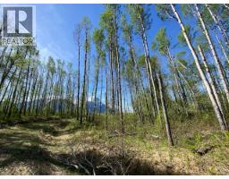 6048 Six Mile Road, Hazelton, BC V0J1Y1 Photo 15